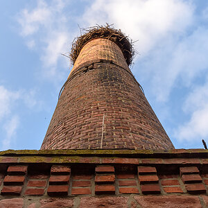 OF2_68343.jpg