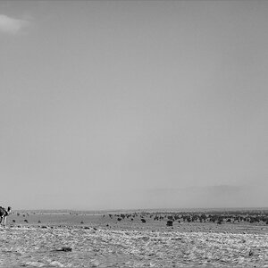 P3080954.jpg