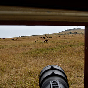 _R057093_20180728_104634_4417Masai Mara 2018_7373Masai Mara 2018.jpg