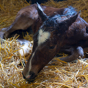 DSC_3313-Verbessert-RR.jpg