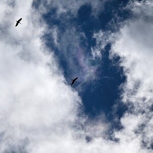Über den Wolken 2.jpg