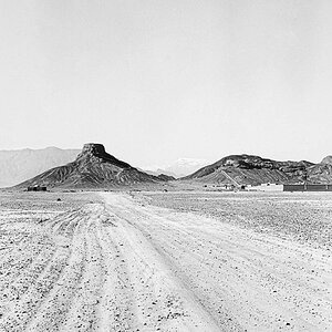 20240326-NIK_6942-3.jpg