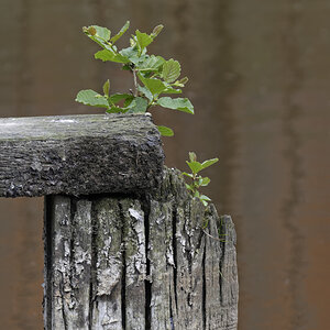 _DSC0456_DxOHAxl.jpg
