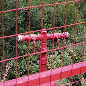 DSCN3211-rt.jpeg