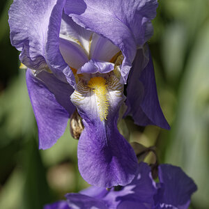 _DSC0493_DxOAxl.jpg