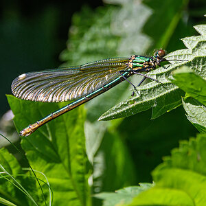 OF5_44779.jpg