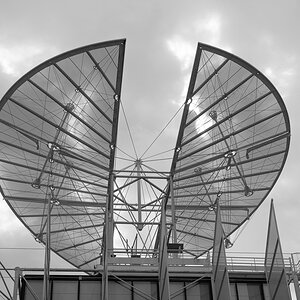 ZHG_1316.jpg