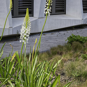 _Z507036_DxOAxl.jpg
