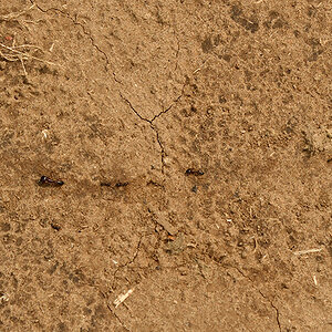 _R057978_20180729_112209_4845Masai Mara 2018_7766Masai Mara 2018.jpg