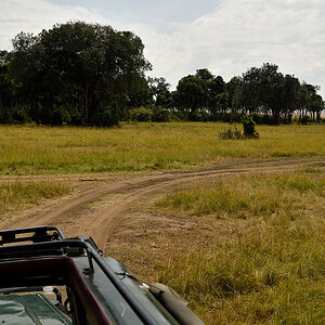 _R058006_20180729_113212_4847Masai Mara 2018_7768Masai Mara 2018.jpg