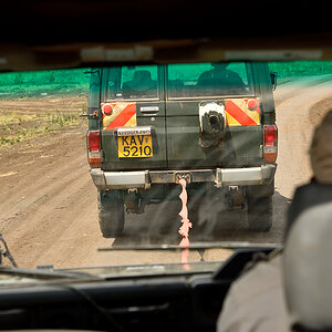 _R058014_20180729_121404_4868Masai Mara 2018_7794Masai Mara 2018.jpg