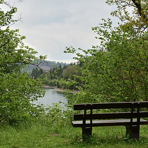 DSC_0175.JPG