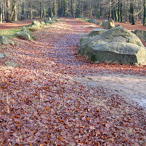 DSC_5306.jpg