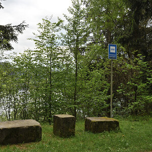 DSC_0202.JPG