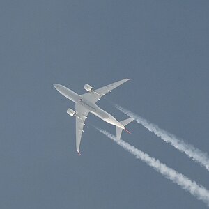 100-400_TC2_Spotting 5.jpg