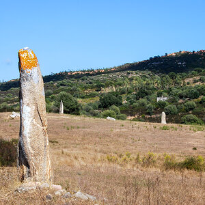 20121005-DSC_0203.jpg