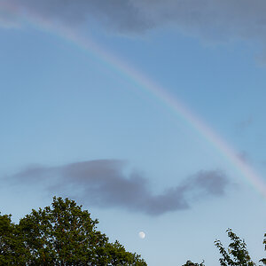 Regenbogen mit Mond.jpg