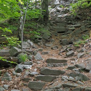 P5123167n.jpg
