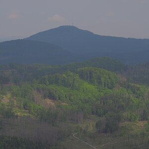 P5123198n.jpg