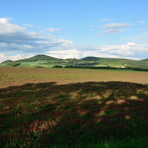 DSC_1394_00001n.jpg