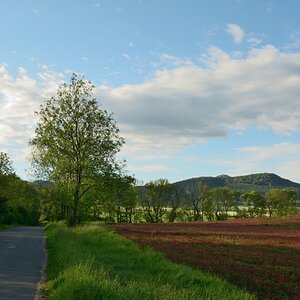 DSC_1395_00001_01kn.jpg