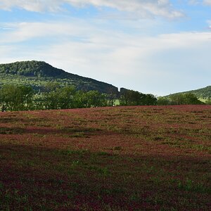 DSC_2524_00001n.jpg