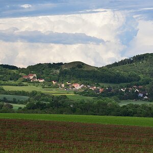 DSC_2533_00001n.jpg