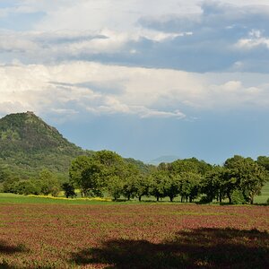 DSC_2535_00001n.jpg