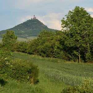 DSC_2548_00001_01n.jpg
