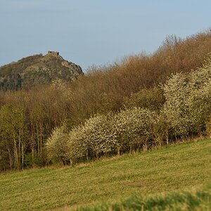 DSC_2419_00001n.jpg