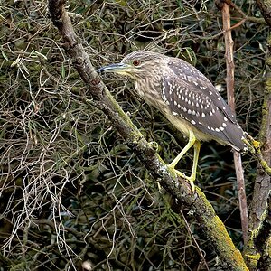 2024_031192_DxO.jpg