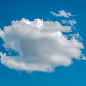 P5130006-Edit.jpg