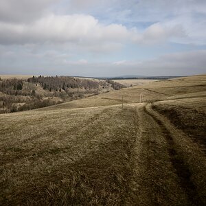 DSC_3230_00001_01n.jpg