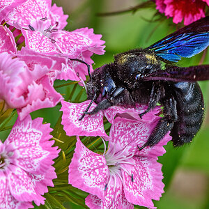 OF2_68981.jpg