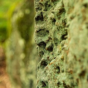 20240525-NIK_7264-2.jpg