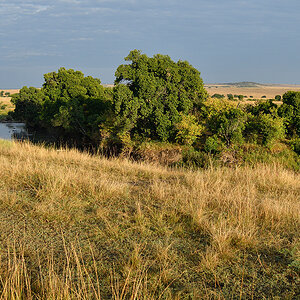 _R059801_20180731_072940_5751Masai Mara 2018_7135Masai Mara 2018.jpg