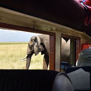 _R050322_20180731_143713_5768Masai Mara 2018_7158Masai Mara 2018.jpg