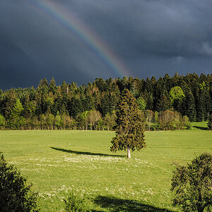 P5180002-Edit.jpg