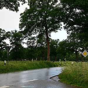 Z8A_0131t5l0s45p1.jpg