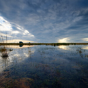 DSC_0362-2.jpg