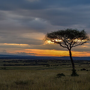 _R050810_20180801_070144_5869Masai Mara 2018_5972Masai Mara 2018.jpg