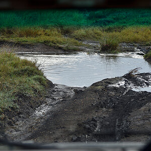 _R050830_20180801_074115_5872Masai Mara 2018_5975Masai Mara 2018.jpg