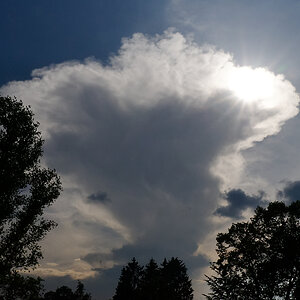 Wolkenpilz.jpg