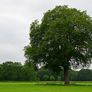 Z8A_0149t5l5s45p1.jpg