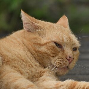 DSC_3958_00001kn.jpg