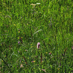 P6050042-Edit-2.jpg