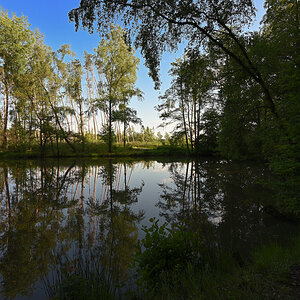 Ls6-24-12.JPG