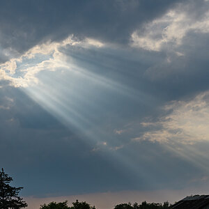 OF5_45487.jpg