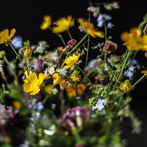 P6090015-Edit-2.jpg