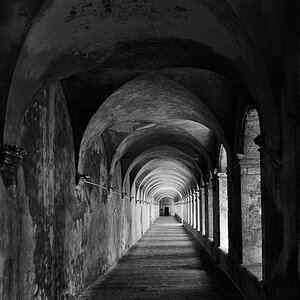_CH10880-Bearbeitet-chartreuse.jpg